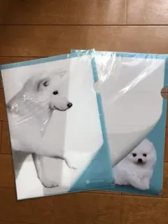 お父さん クリアファイル 2枚セット