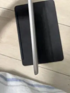 Apple iPad mini 5ー 本体のみ