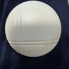 ALBION ベリーレア エアー ケース クッションファンデーション 00