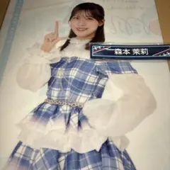 Item thumbnail for item 856cd8df-ec9f-4fc4-948b-7bd9d2d07529