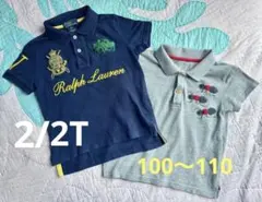 ラルフローレン、Insect Collection 2枚セット ポロシャツ