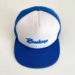 YUPOONG アメリカ企業 ベースボールキャップ トラッカー ブルーホワイト