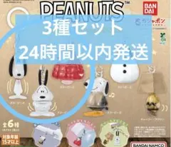 PEANUTS めじるしアクセサリー FUNNY ver. 3種セット