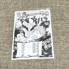 ハイキュー 10th クロニクル 思い出スナップフォトカード 烏野 ようこそ