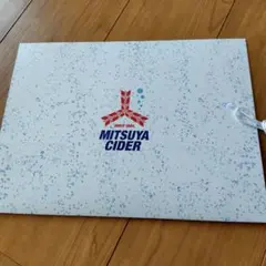 嵐 三ツ矢サイダー 当選品 A4クリアファイル 駿河屋 -<中古>嵐 オリジナルクリアファイル 「嵐×三ツ矢サイダー