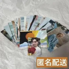 SEVENTEEN トレカ ディノ spill the feels kit