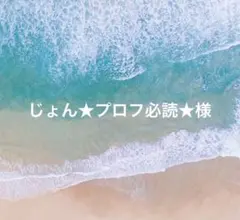 じょん★プロフ必読★様　専用
