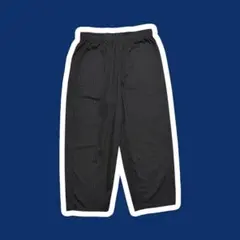 freshservice corporate easy pants ストライプ