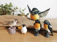 文鳥 オカメインコ ハシボソガラス(カラス) フィギュア 置物 - メルカリ