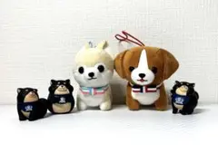 Item thumbnail for item c8a0b152-25e6-4e16-ac20-828543b33122