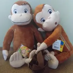 Item thumbnail for item 42f8aef2-c9c8-46ca-91c2-5f71aef17fa9