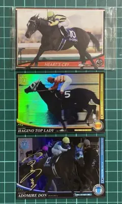 ハーツクライ ハギノトップレディ アドマイヤドン 他