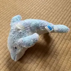 沖縄美ら海水族館 イルカ ぬいぐるみのサムネイル