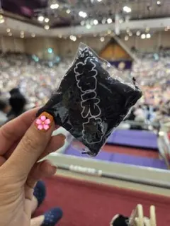 大相撲ガチャ　座布団キーホルダー　若元春