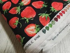 大大大SALE✨【廃番&レア】USA fabric ベナテックス いちご柄