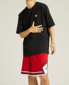JORDAN　NIKE Tシャツ　スニーカーロゴ