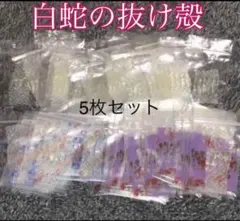 白蛇の抜け殻☆巳年生まれが育てるヘビのお守り☆開運☆金運☆運気上昇♦5枚