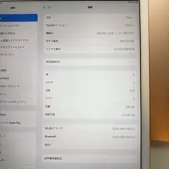 iPad Pro 12.9インチ（第2世代）Wi-Fiモデル 256GB