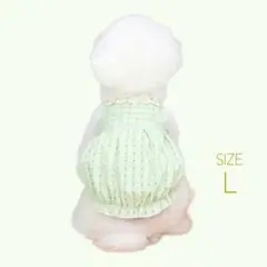 Item thumbnail for item e48f84c2-7834-487d-971b-ab2dd7fe6cfb