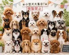 小型犬大集合 イラスト アート