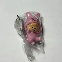 スキズ SKZOO つまんでつなげてますこっと パピーム トゥエッキ カニカン