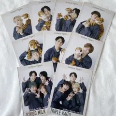 TravisJapan デタカ 厚紙