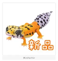 いきもの大図鑑レプティ レオパードゲッコー　タンジェリン