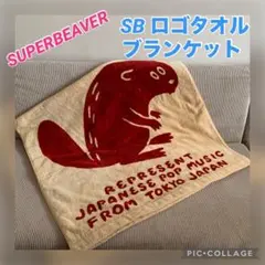 2026年最新】SUPERBEAVERブランケットの人気アイテム - メルカリ