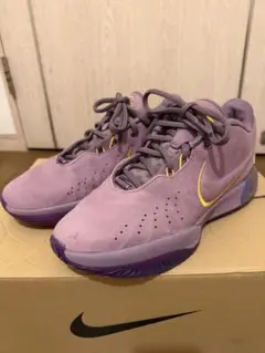 レブロンLeBron21 25.5㎝