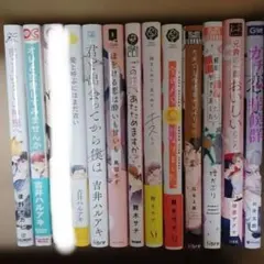 商業BL 2冊で400円 - メルカリ