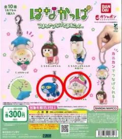 はなかっぱ つまんでつなげてますこっと セット