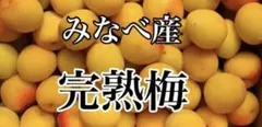和歌山県　みなべ産　南高梅　完熟梅　梅干し　3kg 3L  サイズ　3