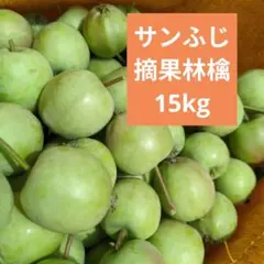 期間限定価格　摘果りんご　加工用サンふじ林檎　約15キロ 送料込み 9のサムネイル