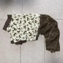 Item thumbnail for item eb43f0dd-0865-425f-b92e-d6b099df2670