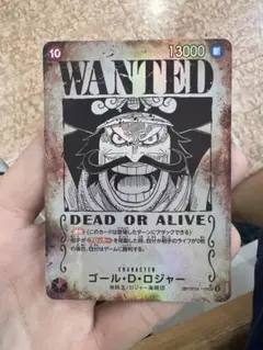 受け継がれる意志　ゴール・D・ロジャー：手配書 SEC-SPC