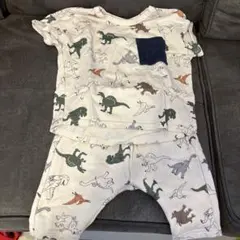 恐竜柄　セットアップ