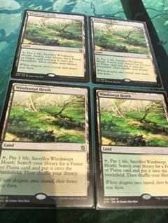 2026年最新】吹きさらしの荒野の人気アイテム - メルカリ