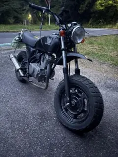 スズキ エポ epo ロンスイカスタム - メルカリ
