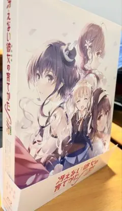 C88限定 fate ubw 原画集セット セイバー&凛 新品・未開封シュリンク付き fate ubw 原画集セット セイバー&凛