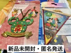 ディズニーリゾート 40周年   クリスマス2023 ガーランド　バッグチャーム