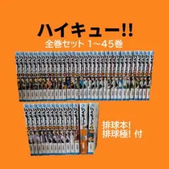 【美品】ハイキュー!! 全巻セット 1〜45巻 排球本 排球極 付
