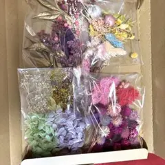 プリザーブドフラワー　詰め合わせ　箱入り　セット売り　多色　カラフル