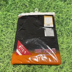 Item thumbnail for item 10b6bac8-76b6-4f12-8957-6615e50511a7