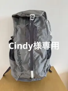 Item thumbnail for item 8c16000a-8e0a-45b0-870b-f106ad0d7d3a