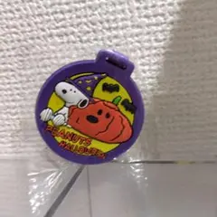 スヌーピー ハロウィン キーホルダー アドレスネーム書ける！