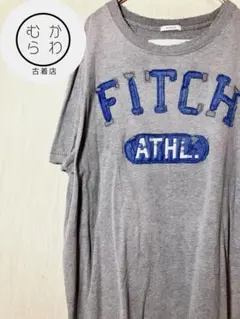 古着 アバクロ　刺繍ロゴ Tシャツ シングルステッチ00年代 XL