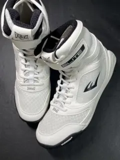 Item thumbnail for item 9f1bacd7-5bc3-4552-b548-aaaabefb012c