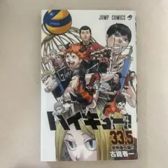 ハイキュー‼︎33.5 音駒番外編‼︎ 漫画
