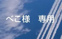 べこちゃん様 リクエスト 2点 まとめ商品