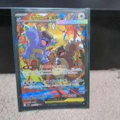 メガガルーラEX ポケモンカード